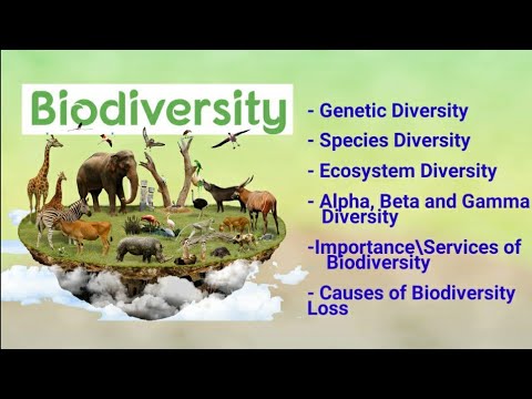 biodiversity, it's types, alpha, beta, gamma diversity, importance & loss of biodiversity