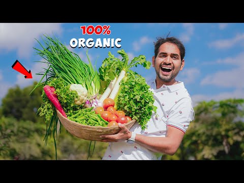 We Grow Organic Fruits And Vegetables – 100% Healthy