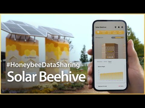 Data for Biodiversity: How Hanwhas Solar Beehive Preserves the Ecosystem by Studying Honeybees